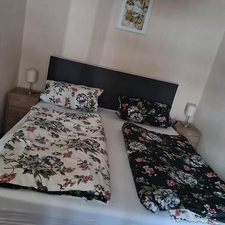 Gemuetliche Ferienwohnung Am Waldrand Elgersburg Exteriér fotografie