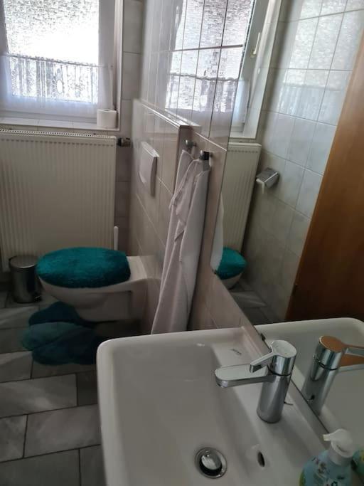 Gemuetliche Ferienwohnung Am Waldrand Elgersburg Exteriér fotografie